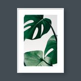 MONSTERA LEAF NO.5 