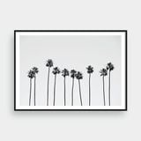  PALM TREES NO.1 