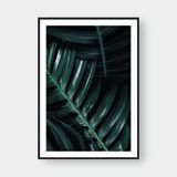  MONSTERA LEAF NO.4 