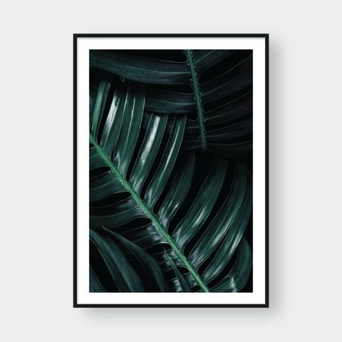  MONSTERA LEAF NO.4 