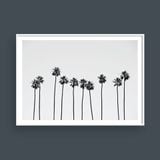  PALM TREES NO.1 