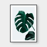 MONSTERA LEAF NO.3 