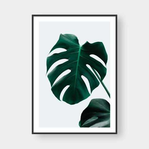  MONSTERA LEAF NO.3 