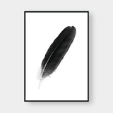  FEATHER NO.1 