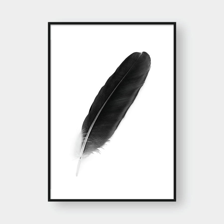  FEATHER NO.1 