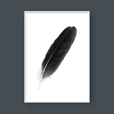  FEATHER NO.1 