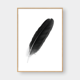  FEATHER NO.1 