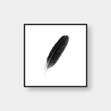  FEATHER NO.1 