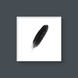  FEATHER NO.1 
