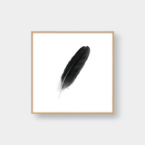  FEATHER NO.1 