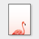  FLAMINGO NO1 