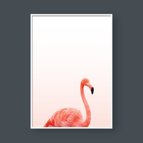  FLAMINGO NO1 