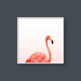  FLAMINGO NO1 