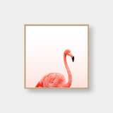  FLAMINGO NO1 
