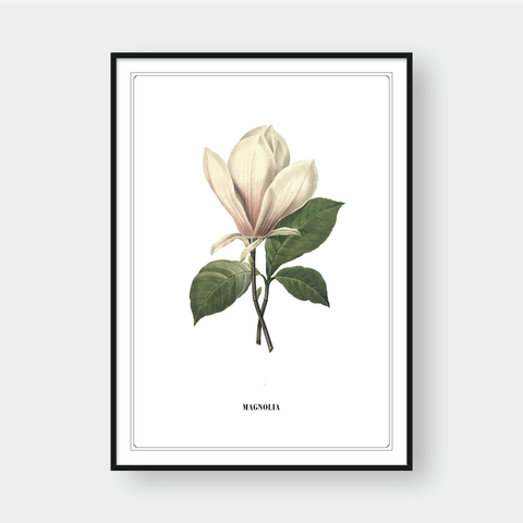  FLOWER SERIES NO.1 