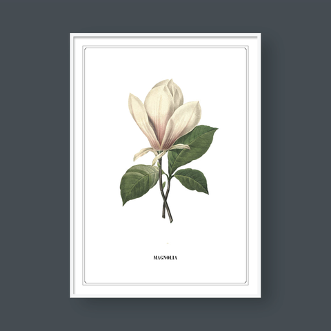  FLOWER SERIES NO.1 