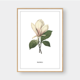  FLOWER SERIES NO.1 