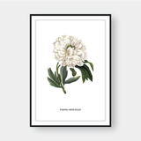  FLOWER SERIES NO.2 
