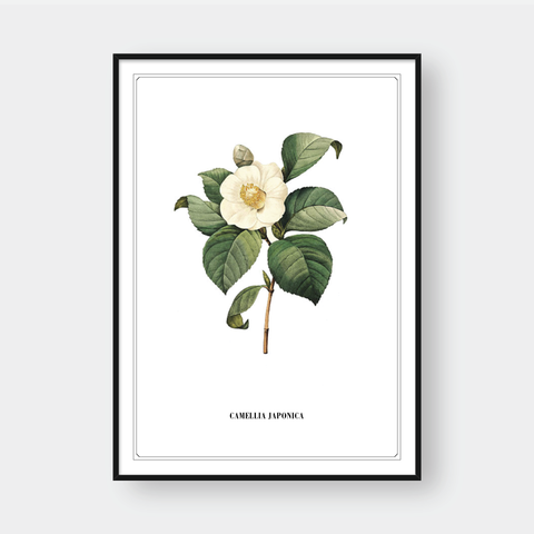  FLOWER SERIES NO.3 