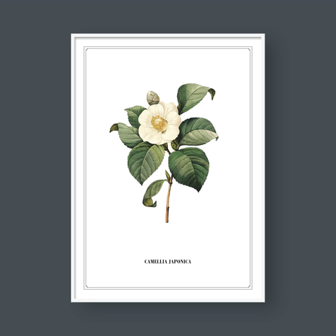  FLOWER SERIES NO.3 