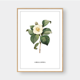  FLOWER SERIES NO.3 