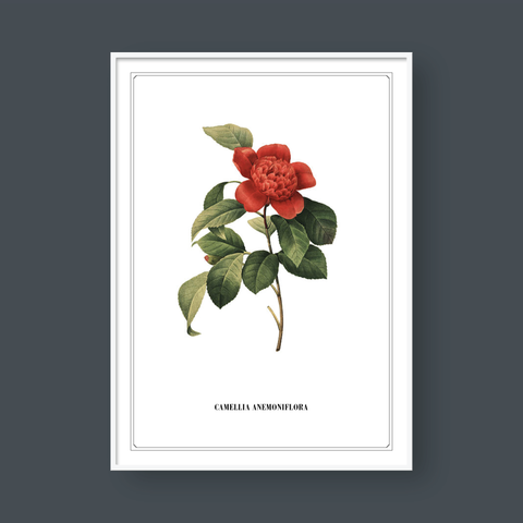  FLOWER SERIES NO.4 