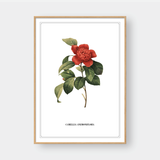  FLOWER SERIES NO.4 