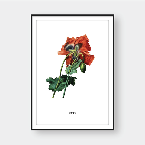  FLOWER SERIES NO.5 