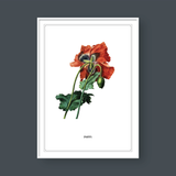  FLOWER SERIES NO.5 