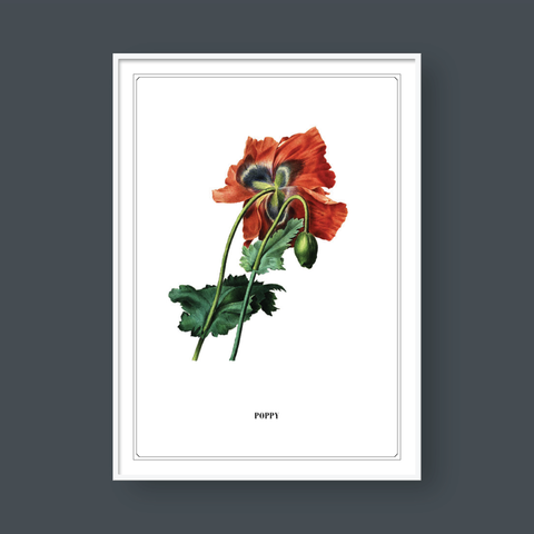  FLOWER SERIES NO.5 