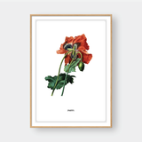  FLOWER SERIES NO.5 