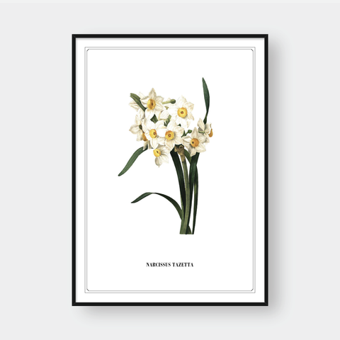  FLOWER SERIES NO.6 