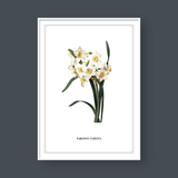  FLOWER SERIES NO.6 