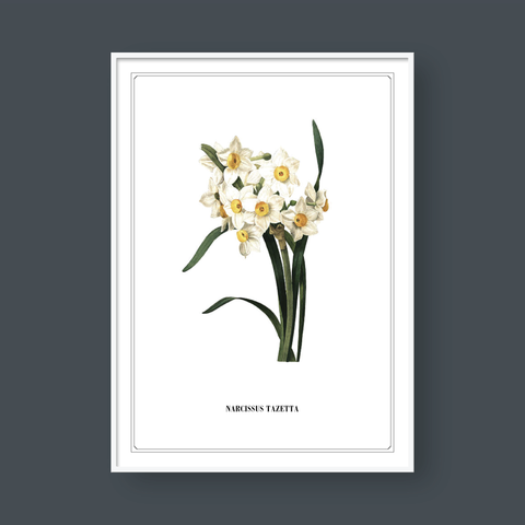  FLOWER SERIES NO.6 