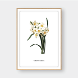  FLOWER SERIES NO.6 