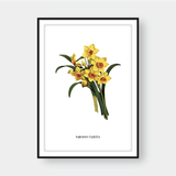  FLOWER SERIES NO.7 