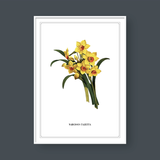  FLOWER SERIES NO.7 