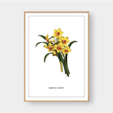  FLOWER SERIES NO.7 