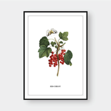  FLOWER SERIES NO.8 