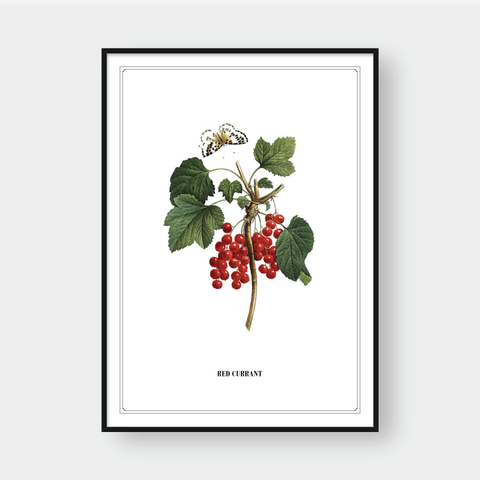  FLOWER SERIES NO.8 