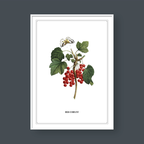  FLOWER SERIES NO.8 