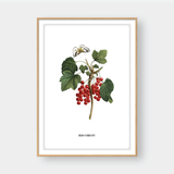  FLOWER SERIES NO.8 