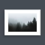  FOGGY FOREST NO.2 