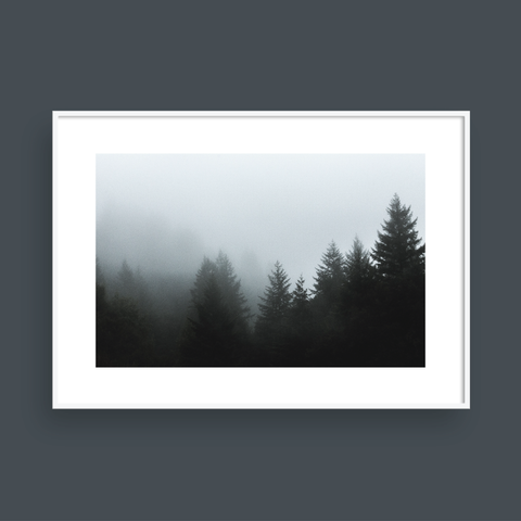  FOGGY FOREST NO.2 