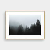  WILDERNESS SET 01 