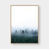  WILDERNESS SET 01 