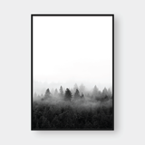  FOGGY FOREST NO.3 
