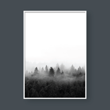  FOGGY FOREST NO.3 