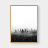  FOGGY FOREST NO.3 