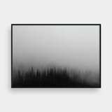 FOGGY FOREST NO.4 